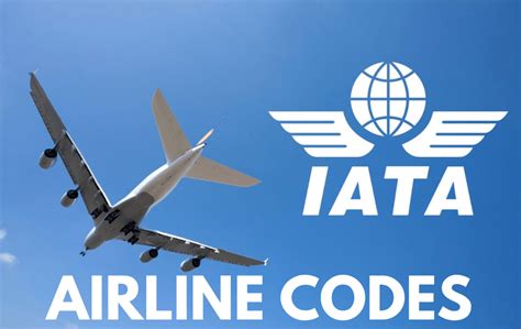 qz airline code|Airline codes .